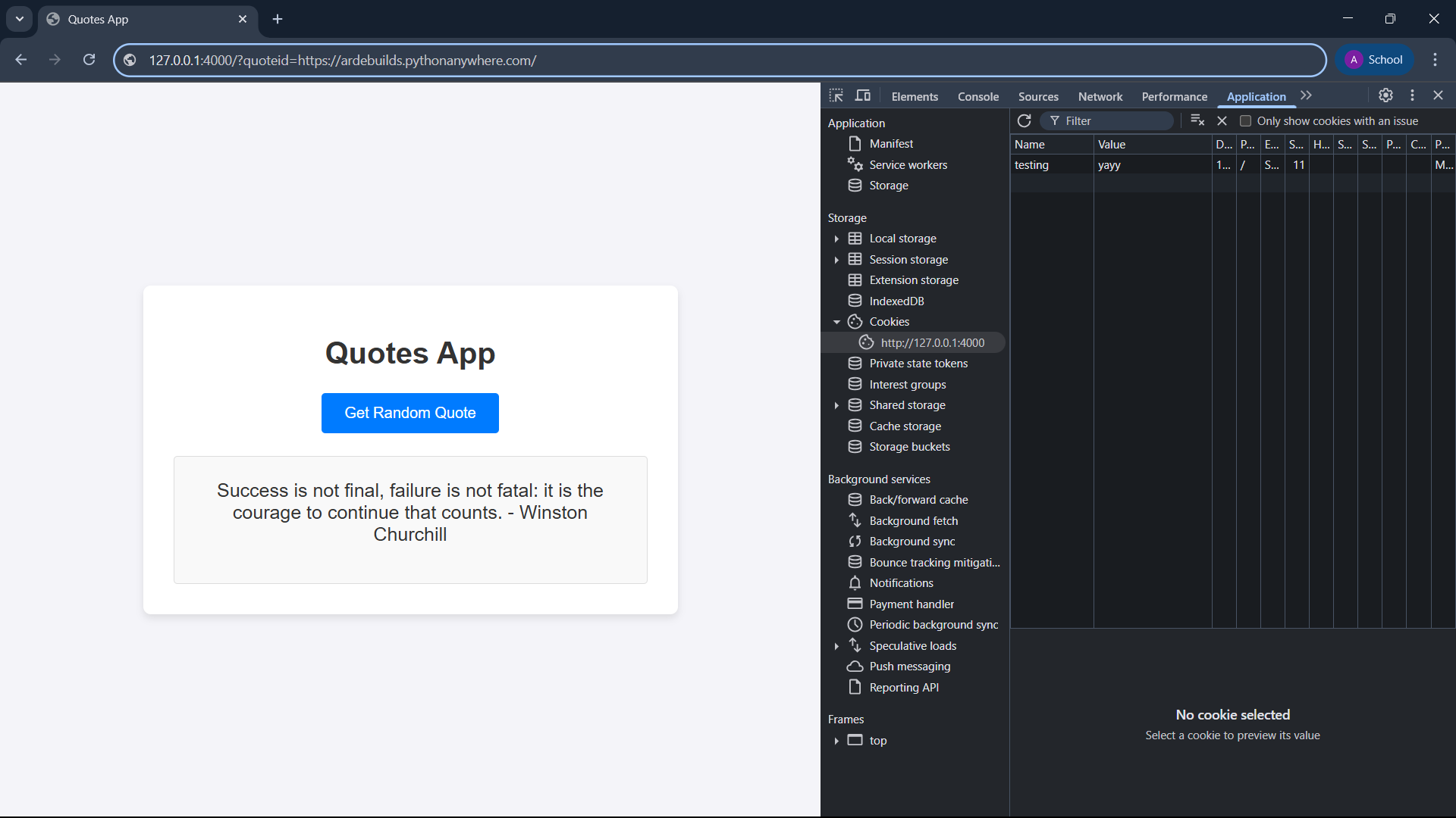 Screenshot of webpage before entering the malicious url. Also shows my custom cookie in the inspect tab